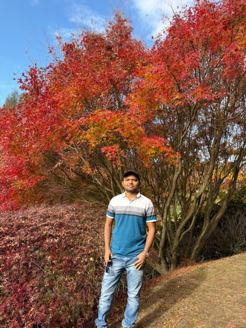 dhrudipnz2